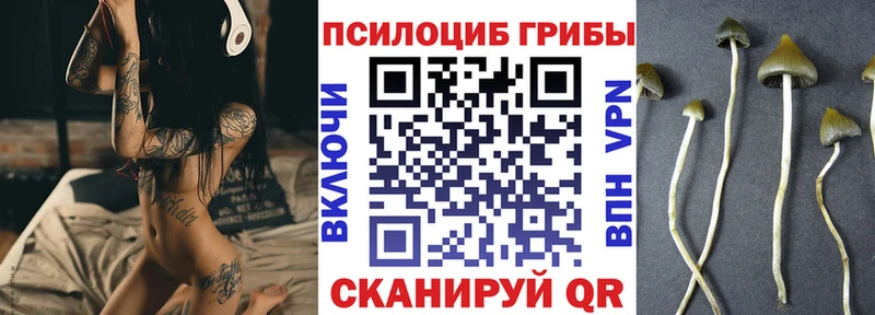 Галлюциногенные грибы Psilocybine cubensis Покров